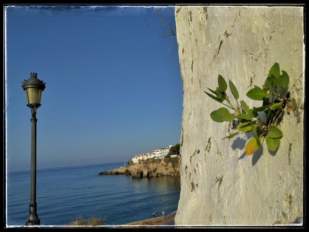 Hostal Andalucia Nerja Dış mekan fotoğraf